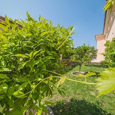 Brin D'azur - Tropez 4* Сен-Тропе