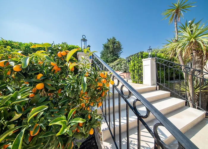 Brin D'azur - Tropez Saint Tropez